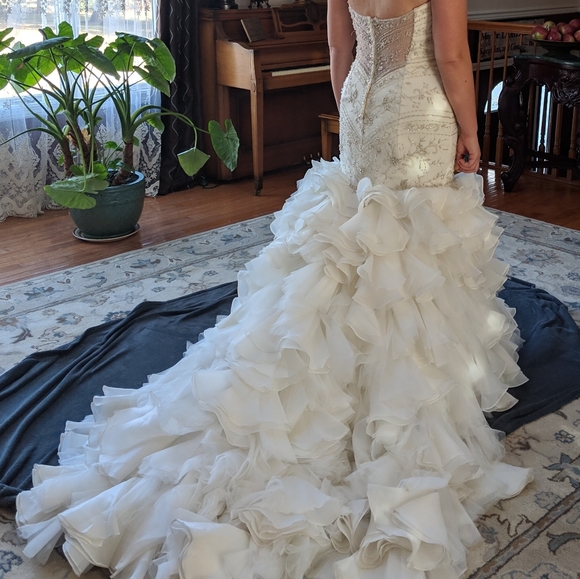 Maggie Sottero Serencia Wedding Dress - Picture 5 of 14